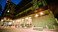 Posada Vidraru – Eastern European Restaurant – Hotel Recreation Center